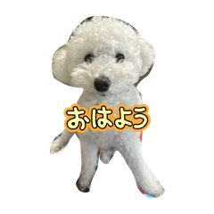 Emi_20251022061316