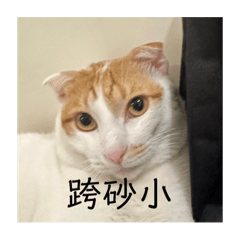 小斑比出乃玩呀