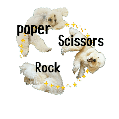 Poodle's rock-paper-scissors