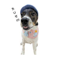 米克斯泡芙的異想世界