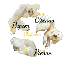 Poodle's rock-paper-scissors(French)