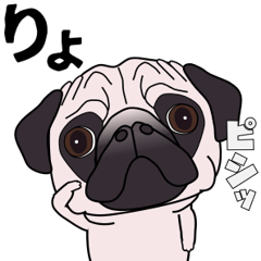 ゆるく尻尾をふるパグ