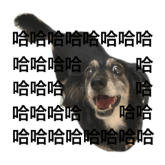 啊小妞日常用語