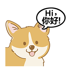 柯基說聲Hi你好！