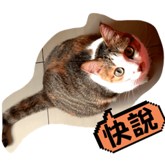 Michelle_20251021144650