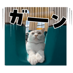 mashu_20251021235640