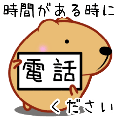 きゃぴばら【日常】