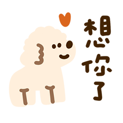 奶油毛貴賓醬的散步時間