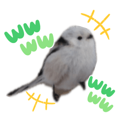 momota_20251022074441 – LINE stickers | LINE STORE
