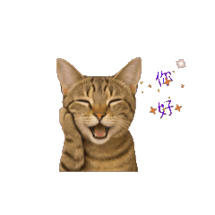 呼嚕和咪咕動動生活篇