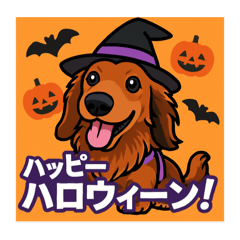 sinderera_20251022011638