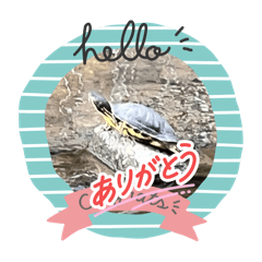 Celebi_20251021184830 - Stiker LINE | LINE STORE