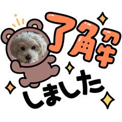 koto_20251022095658