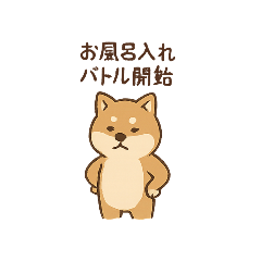 Real Mom Shiba Daily Grumbles