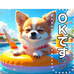 【犬】眠そうチワワ♡プール浮き輪
