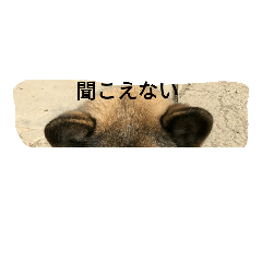 syokokunn