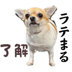 ichirou_20251022135227