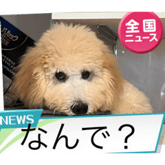 misaki_20251022135928