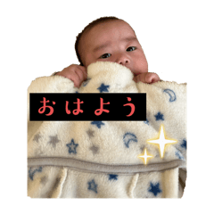 sakura_20251022144722