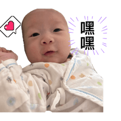 肉肉日常（一個月）