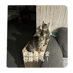 弟弟妹妹日常❤️