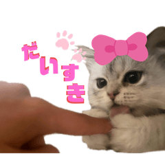 Neo no design_20251022151900