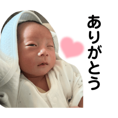 sugar_20251022151936