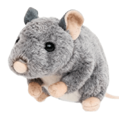 Rat Plushie