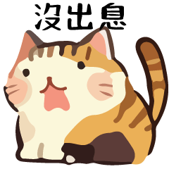 幹話貓球♥從容特輯