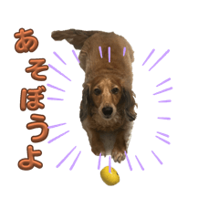 m_20251022155541