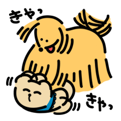 Cute Baby Bear (sometimes a dog)