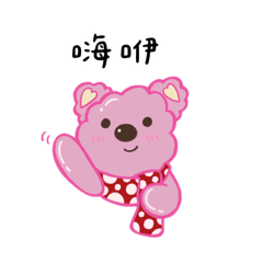 棉花熊 Cotton candy