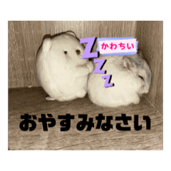 chimu&family
