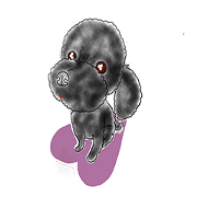 adorable kkambong
