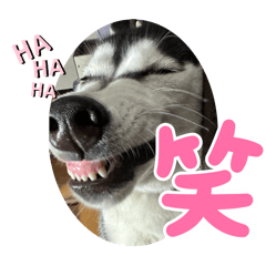 DAISY_20251022173623