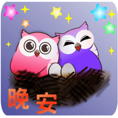 可愛貓頭鷹－１【中文版】