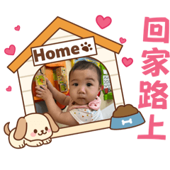 小皮蛋寶寶的生活日常3