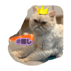 Yuka_20251022211417