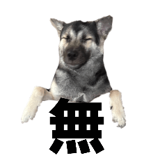 yurimam_20251022222302