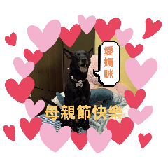 Oreo的夢幻咪咪世界