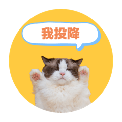 Fannyの黑糖+福酷+依波