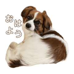 tomomi_20251023070702