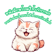 cattt_20251022141655