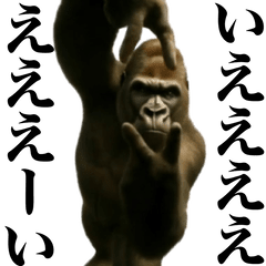 踊る！横揺れゴリラ