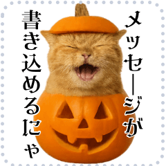 書き込める♥ハロウィンな猫ミーム　改