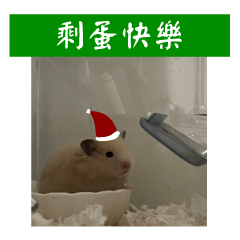 Healing Golden Rat Sticker