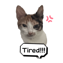 Minnie, Mickey 跟他們的朋友