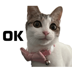 Haruka_20251023094022