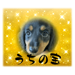 satosan_20251023111826