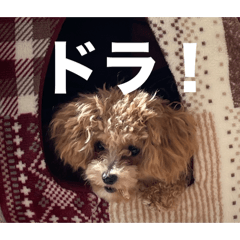 chanyui_20251022230313